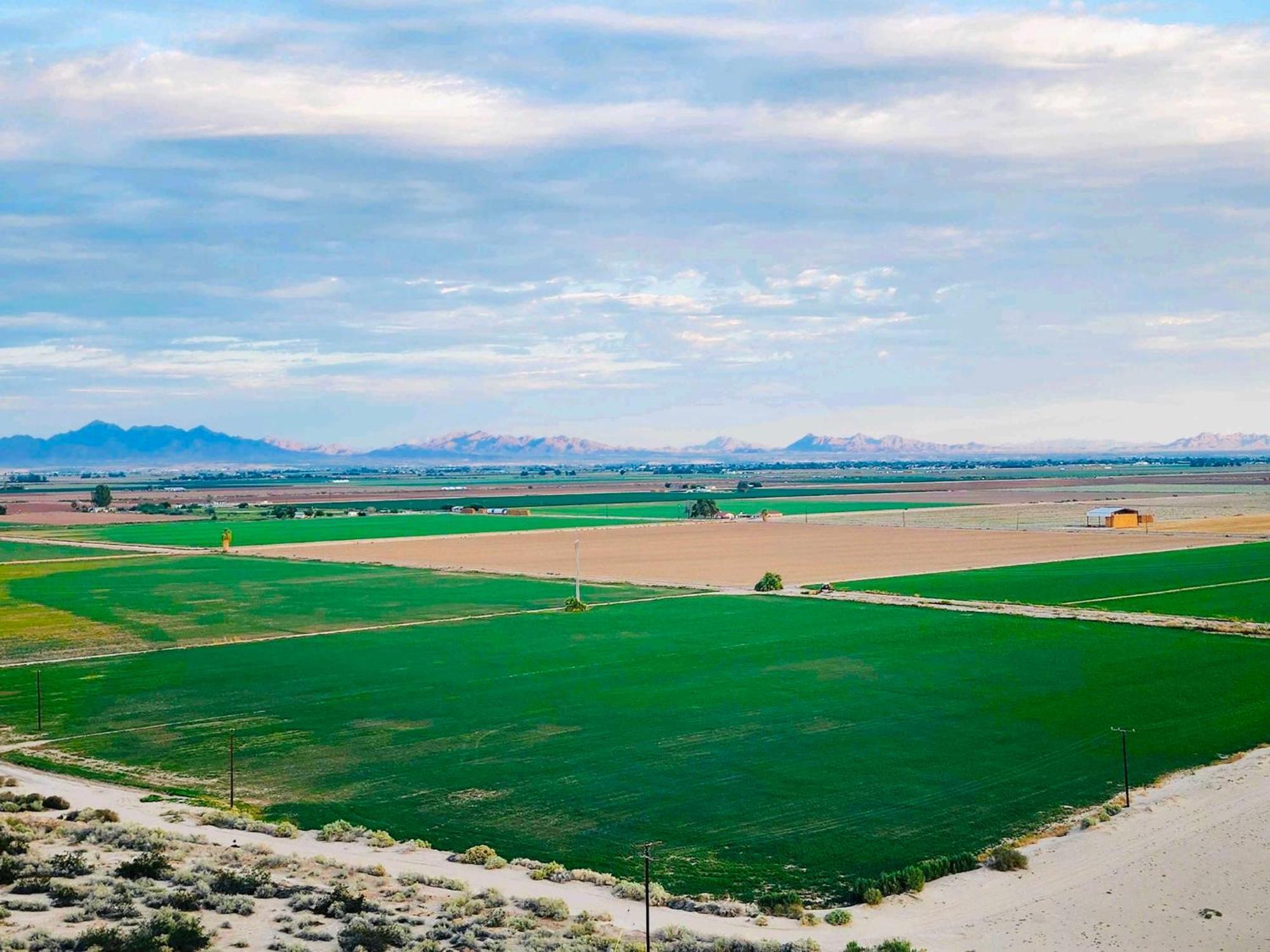 Holiday Inn Express & Suites Blythe By Ihg 外观 照片